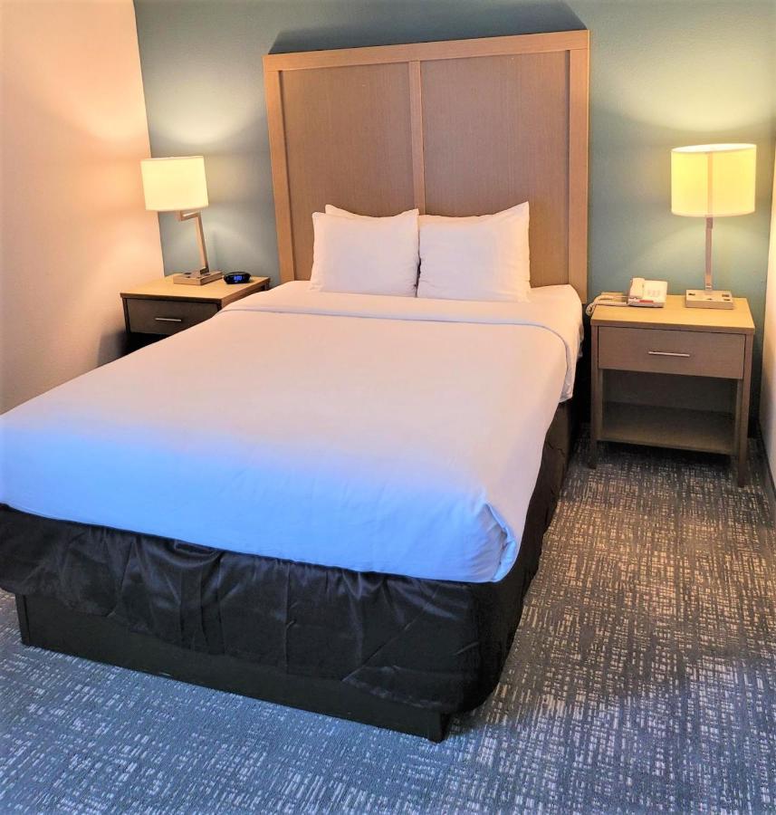 Comfort Inn & Suites Alexandria West Экстерьер фото